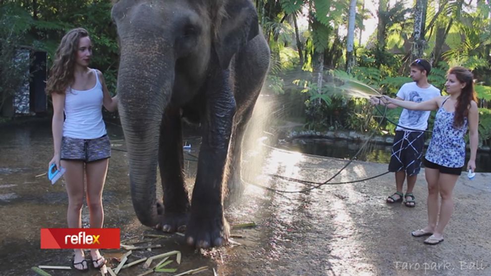 Pre Luciu sa cestovanie stalo vášňou