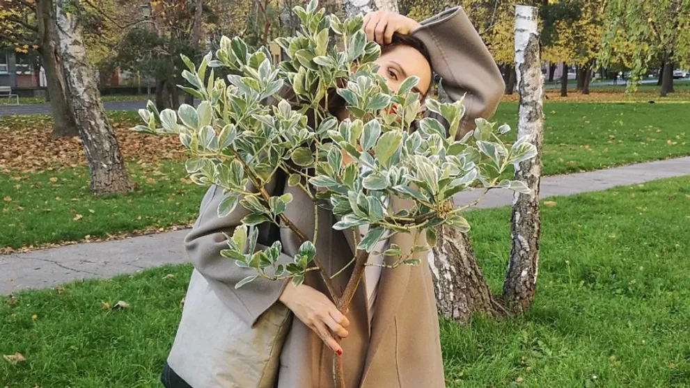 Chlapom v Mame na prenájom velí mladá žena. Kto si zahrá prísnu riaditeľku?
