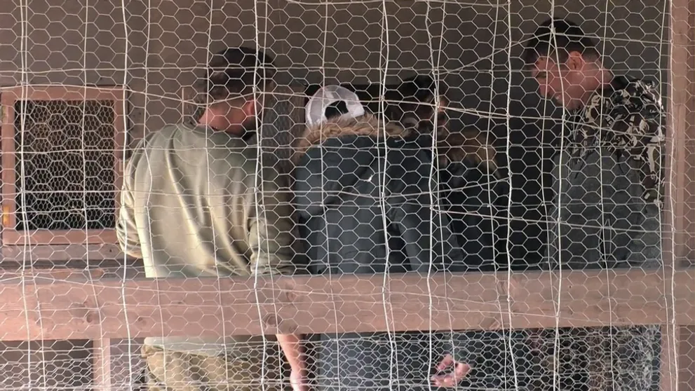 Vlado dal spáriť zajace, farmári si z toho urobili šou!