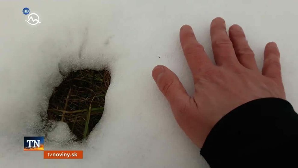 Protekcia v Matkách a dcérach? Známa herečka tam hrá s dcérou