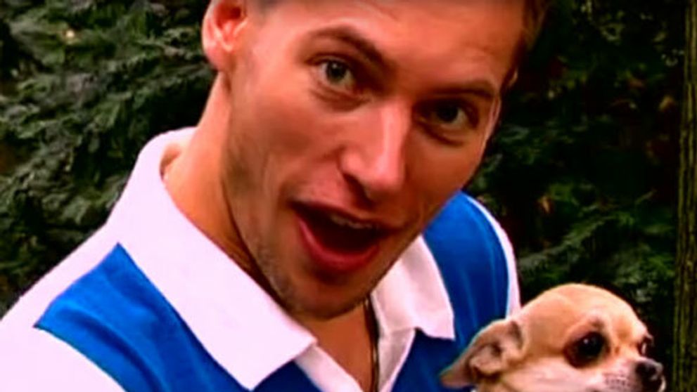 Psie celebrity: Majú svojich stylistov a asistentku!