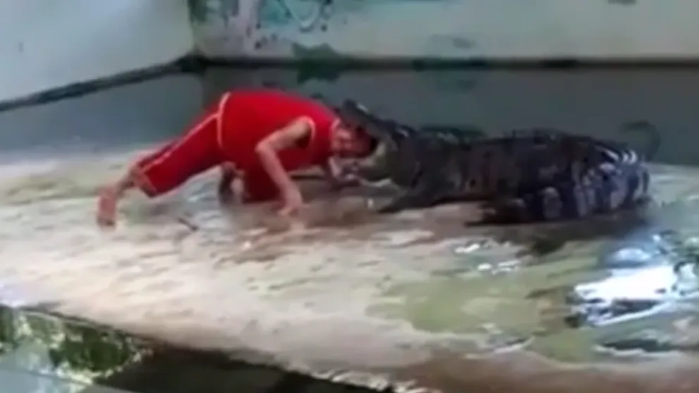 Muž vložil krokodílovi hlavu do tlamy. Ten cvakol zubami a...