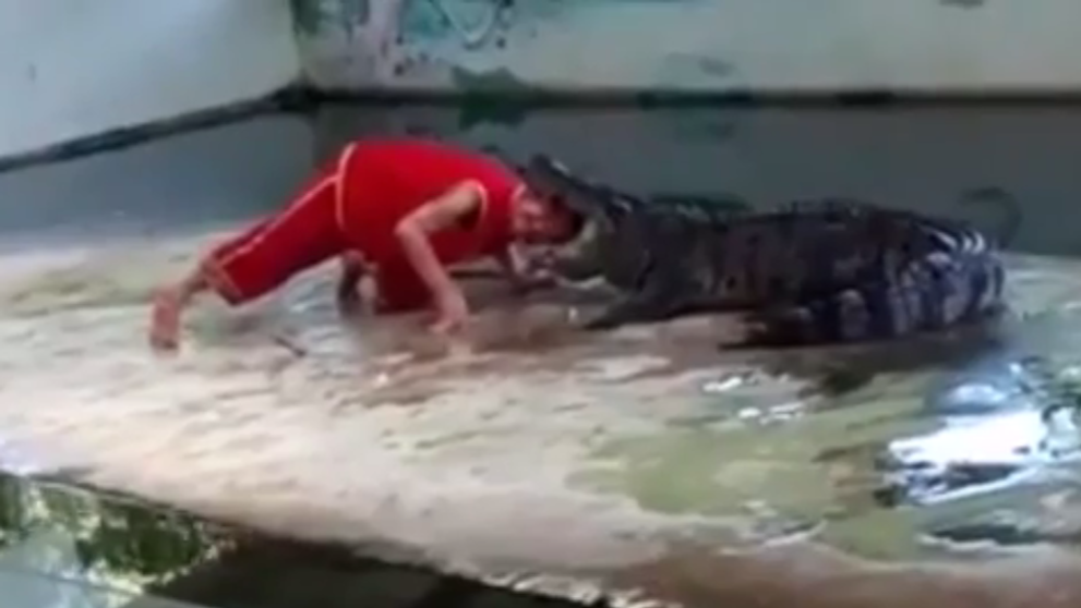 Muž vložil krokodílovi hlavu do tlamy. Ten cvakol zubami a...