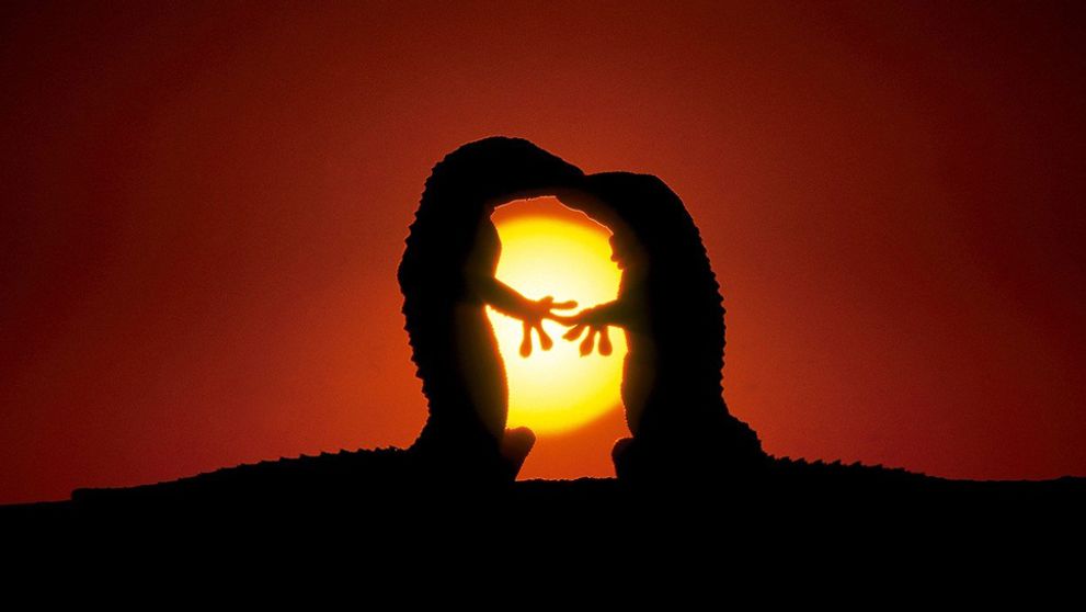 Úžasné zábery, ktoré vám rozpália srdce: Keď príroda ožije láskou!