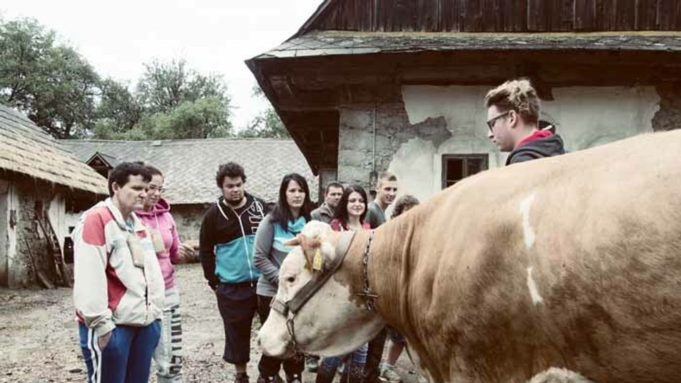 Nikdy sa nevideli! Teraz musia spolu žiť!