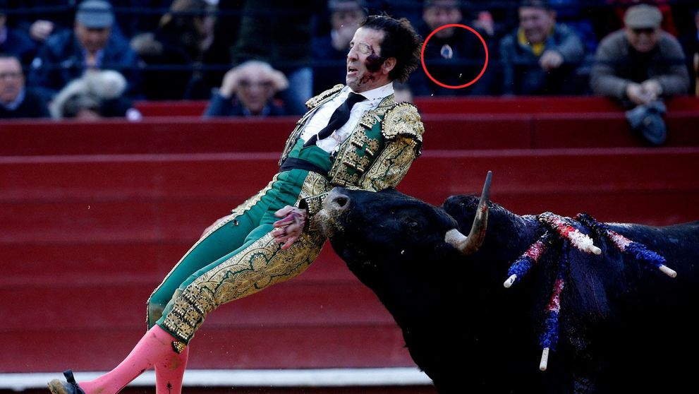 Tieto zábery sú len pre silné povahy! Býk verzus toreador 1:0