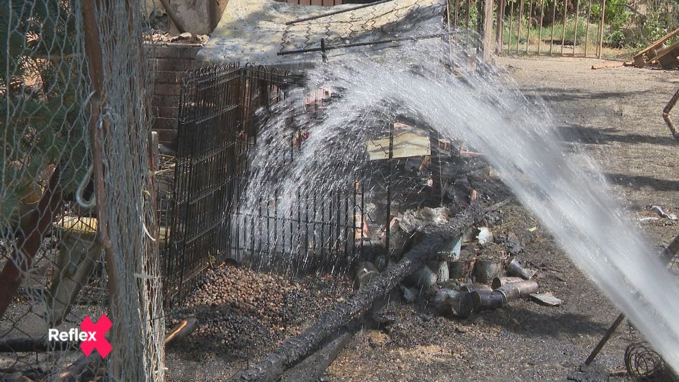 Zhorený útulok ukázal, v akých podmienkach žili zvieratá
