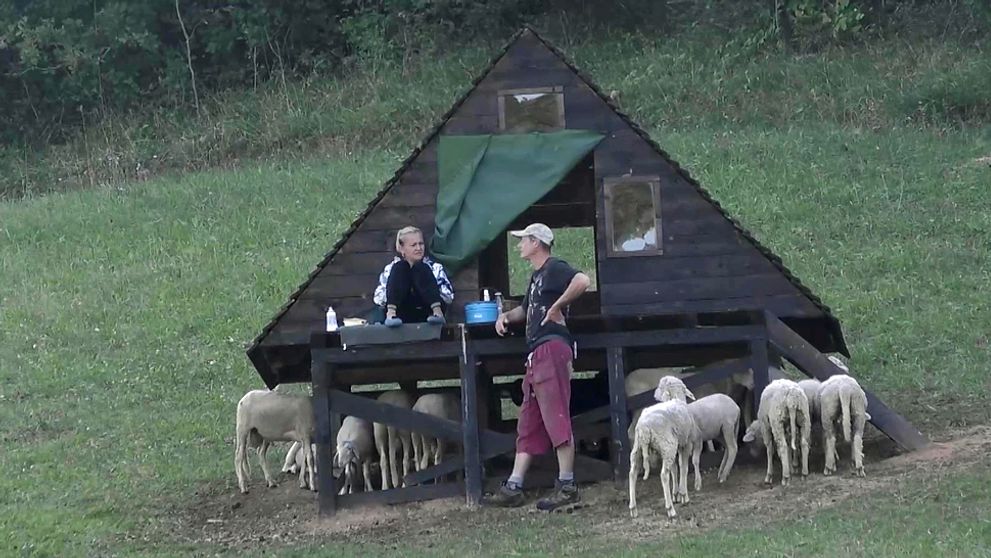 Ďalšie vážne porušenie pravidiel! Toto im len tak ľahko neprejde