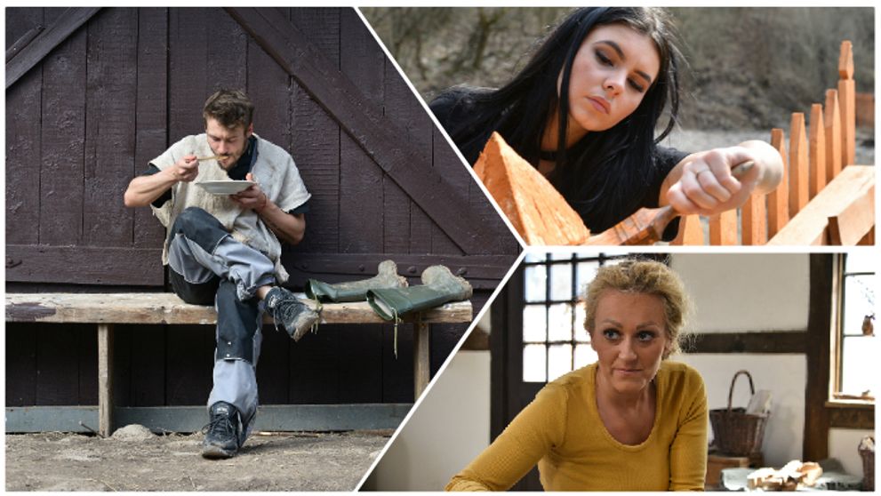 Boj o alfa samca: Taktika alebo príťažlivosť?