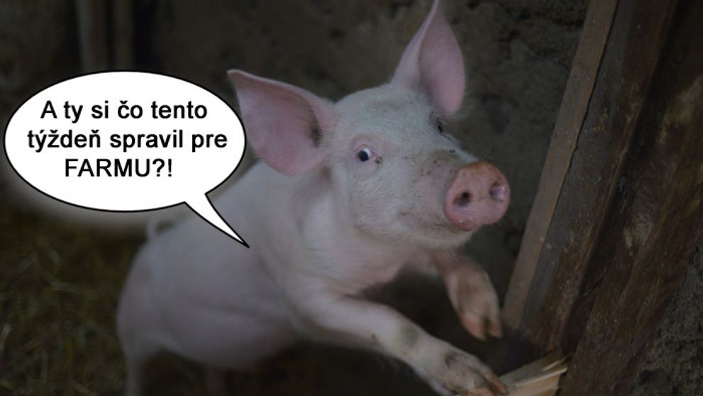 Legrácie farmárskje  zábavnje: Vydanje druhô