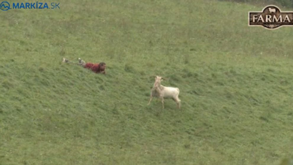 Ľubo vs. cap: Tak kto chytal koho!?