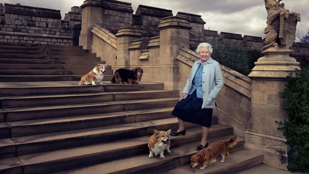Všetci sa po smrti kráľovnej pýtali na jej psov: Až teraz prišla veľká novina