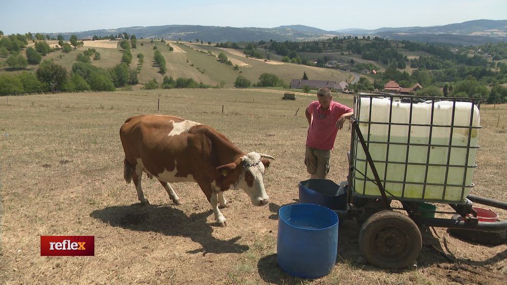Čaká ich ťažké rozhodnutie