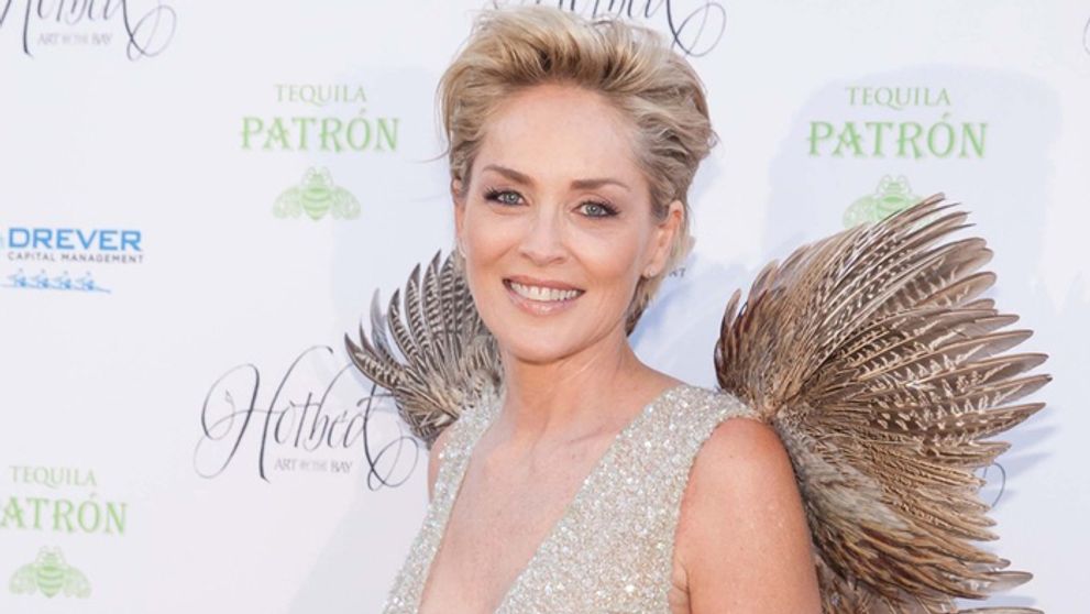Výstrih, rozparok, krídla. Sharon Stone zažiarila ako správna hviezda