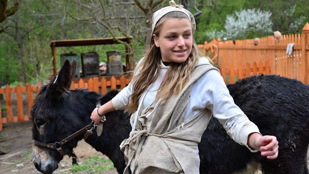 Vlaďa objavila taktickú trhlinu: Podpília si ženy pod sebou konár?