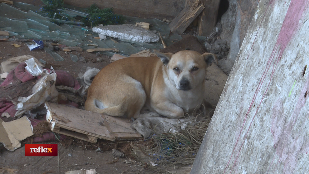 Návšteva po roku s ochranármi zvierat