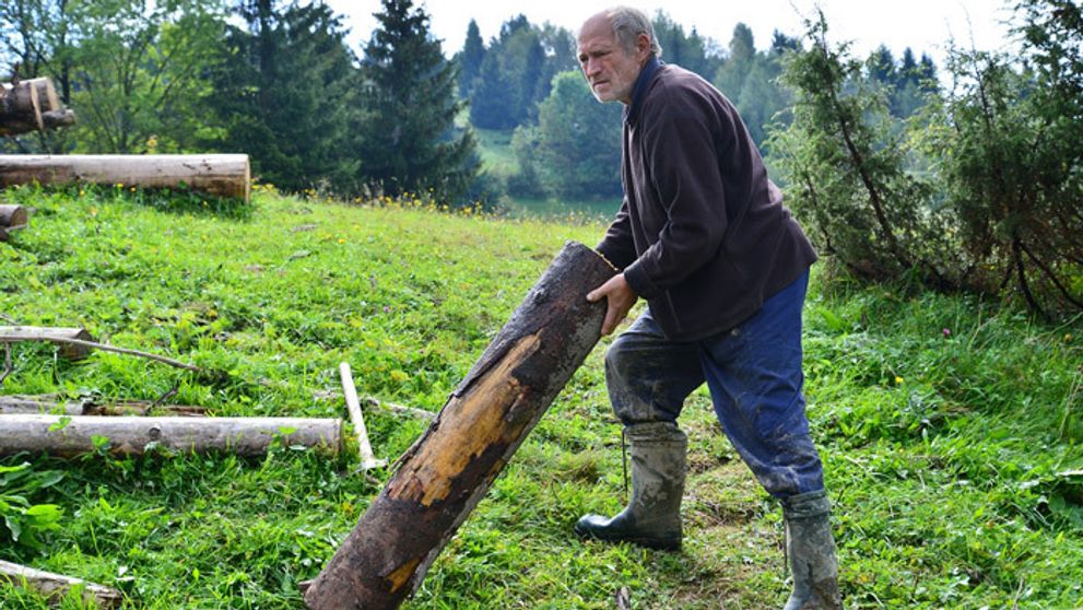 Útok rozzúrenej ovce: S Mirom to vyzerá zle!