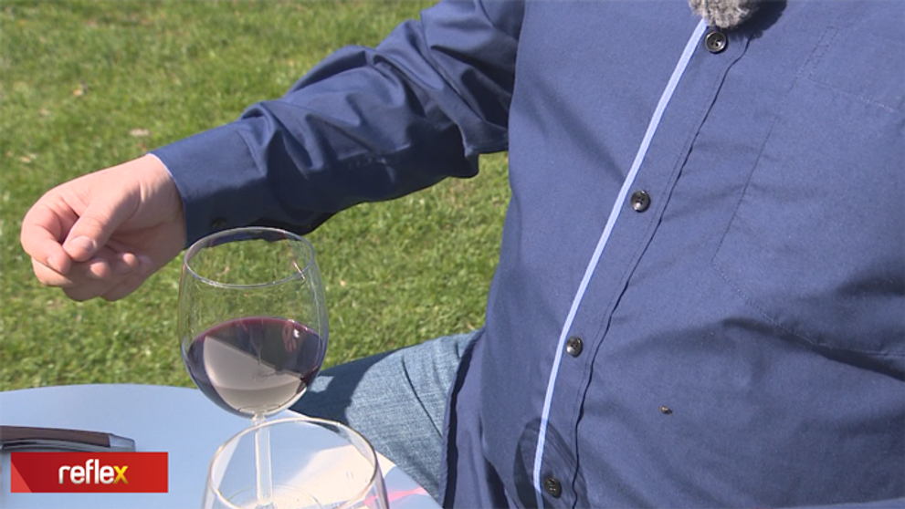 Vie vraj energiou zmeniť chuť vína