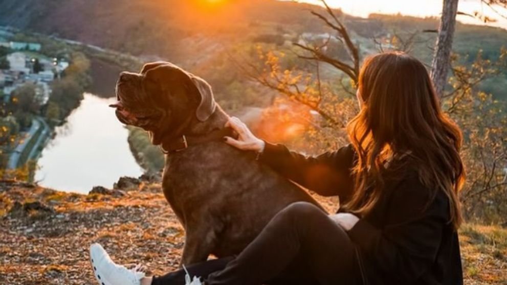 Český pár šokoval: Namiesto svadby rozchod po 27 rokoch