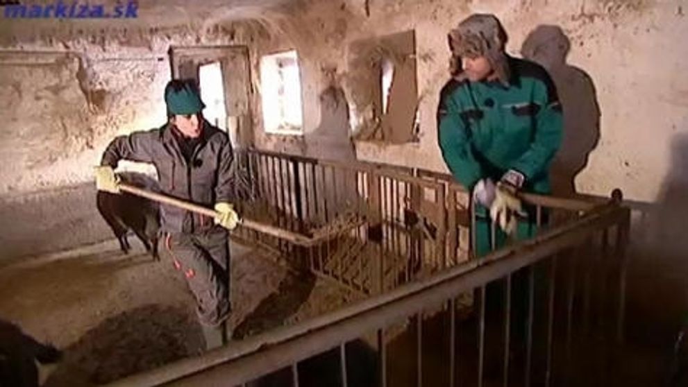 Judínyová: Takto na farme kydala hnoj!