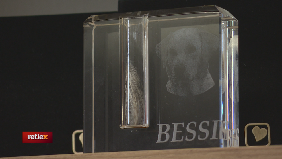 Bizarný festival v Brazílii: Pridáte sa?