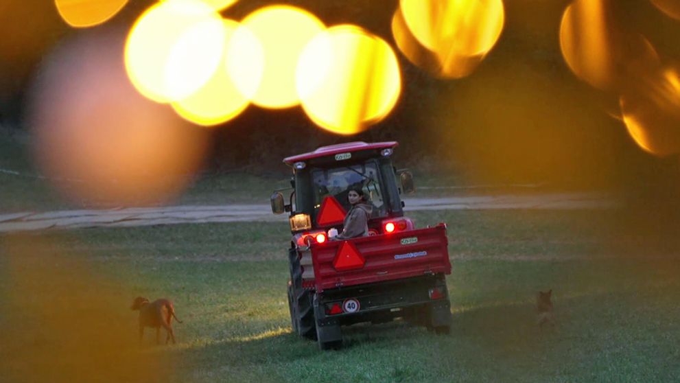 Naj momenty Farmy 15: Radosť, slzy a divočina