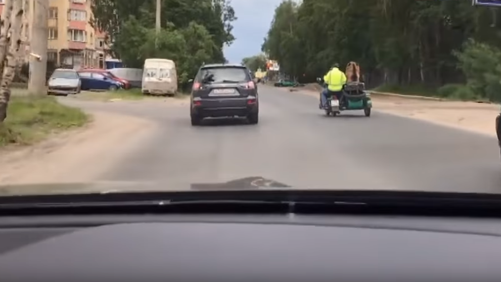 Vodič sa musel presvedčiť, či vidí dobre. Nič podobné na ceste nevidel