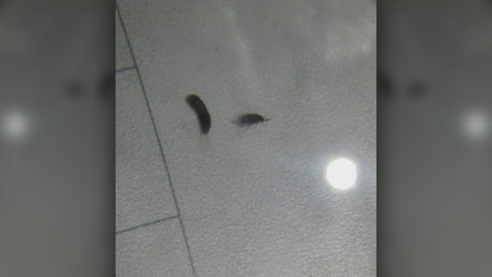 Bojové podmienky na internáte