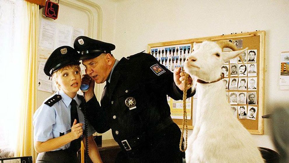Boženka z filmu Byl jednou jeden polda. Takto vyzerá dnes