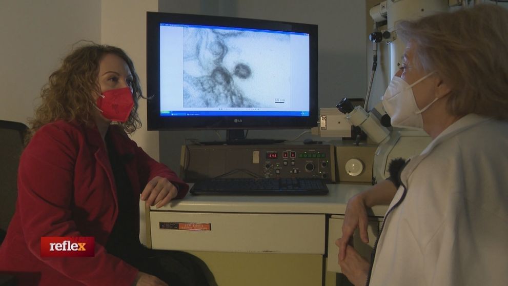 Čo robí koronavírus v bunke?