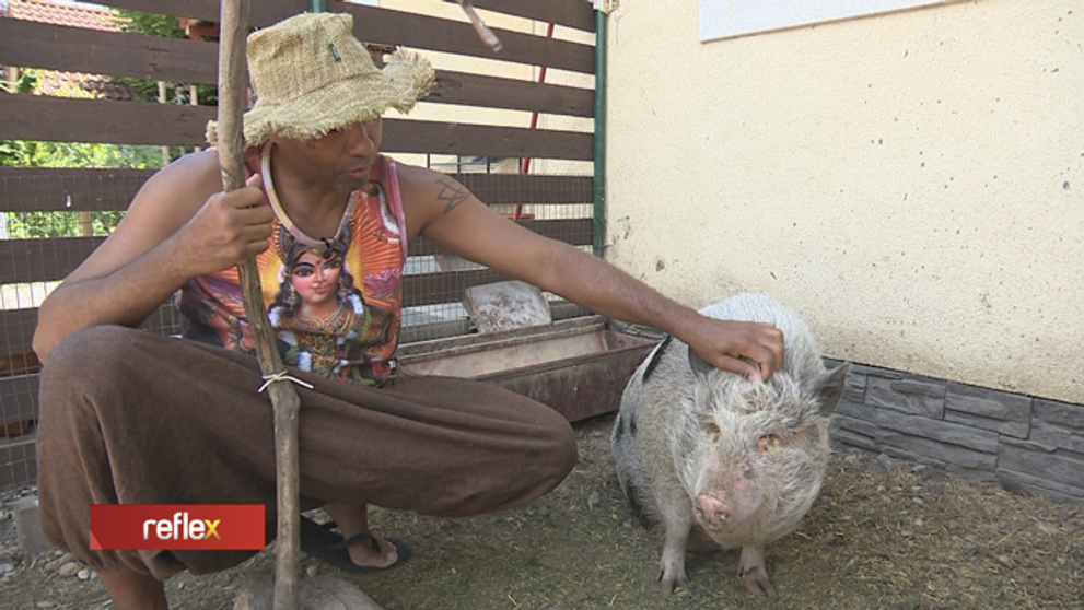 Fredy Ayisi prekvapuje: Na dvore má vyše 50 zvierat!