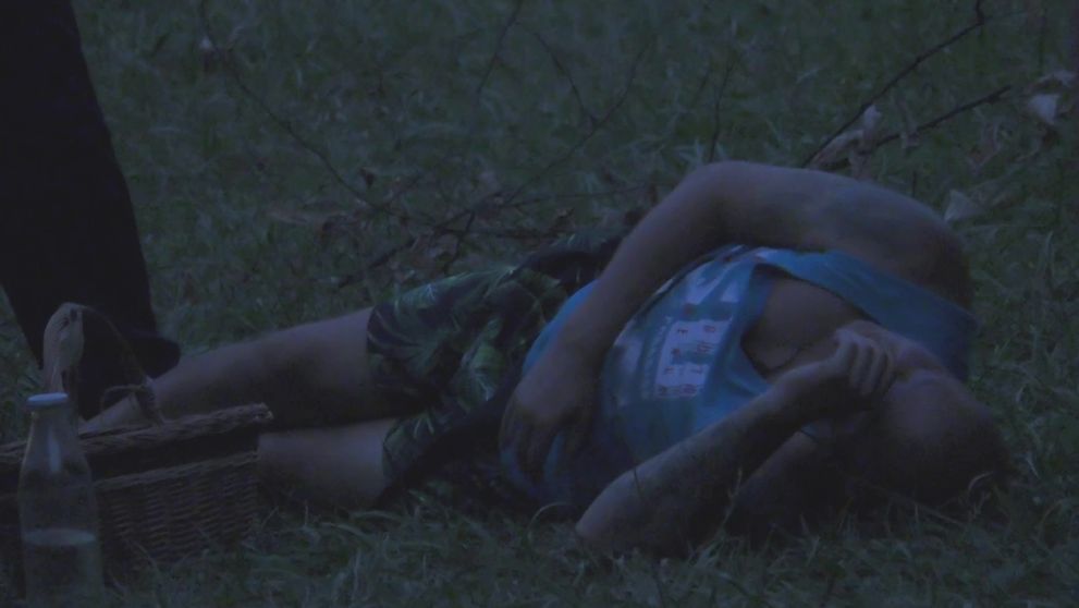 Len kúsok od tragédie: Jeden z farmárov zletel z trojmetrovej výšky