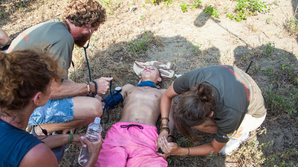Konečne mäso! Na Ostrove sa pre sliepky takmer pozabíjali