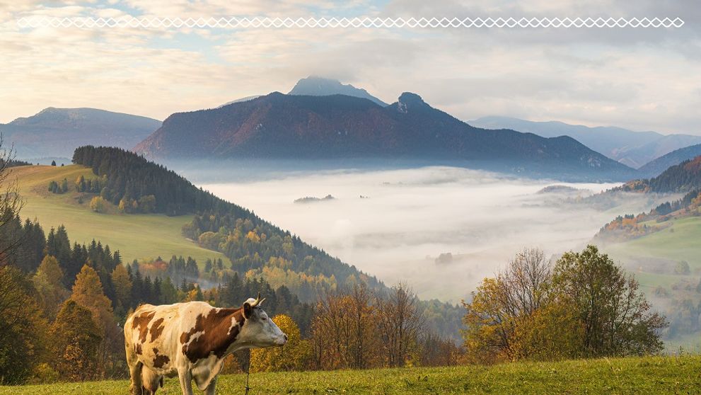 Čo najviac chutí Slovákom? Týmto potravinám nevieme odolať