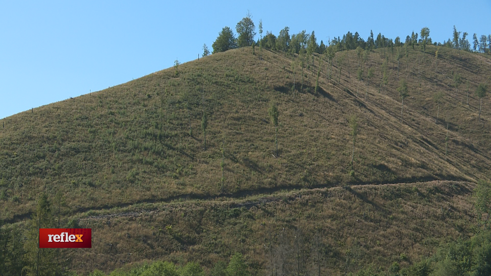 Obyvateľom malej obce pri Slovenskom raji zmizol takmer celý les