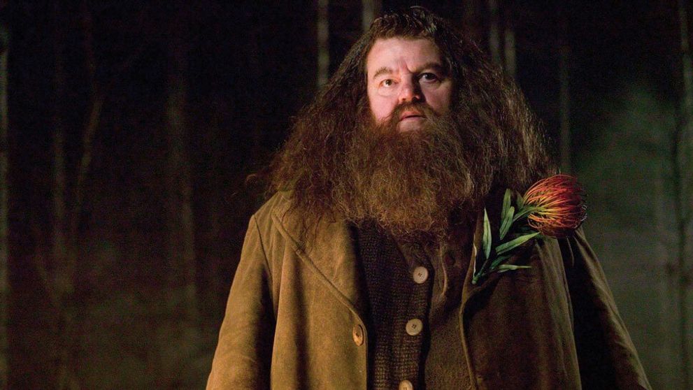 Smutný pohľad na Hagrida z Harryho Pottera: Herec skončil pripútaný k vozíku