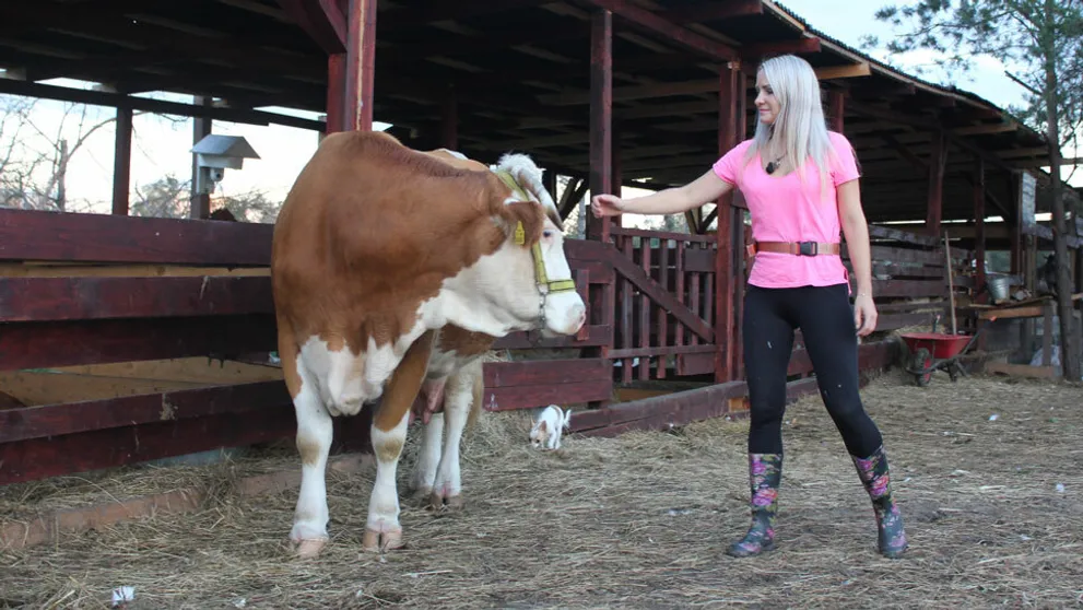 Krava si vyšliapla na farmárku týždňa! Katka si od strachu asi cvrkla do nohavíc