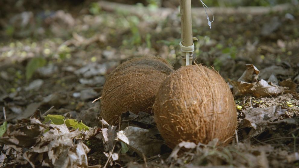 Exkluzívne: Prvá epizóda nového Survivora!