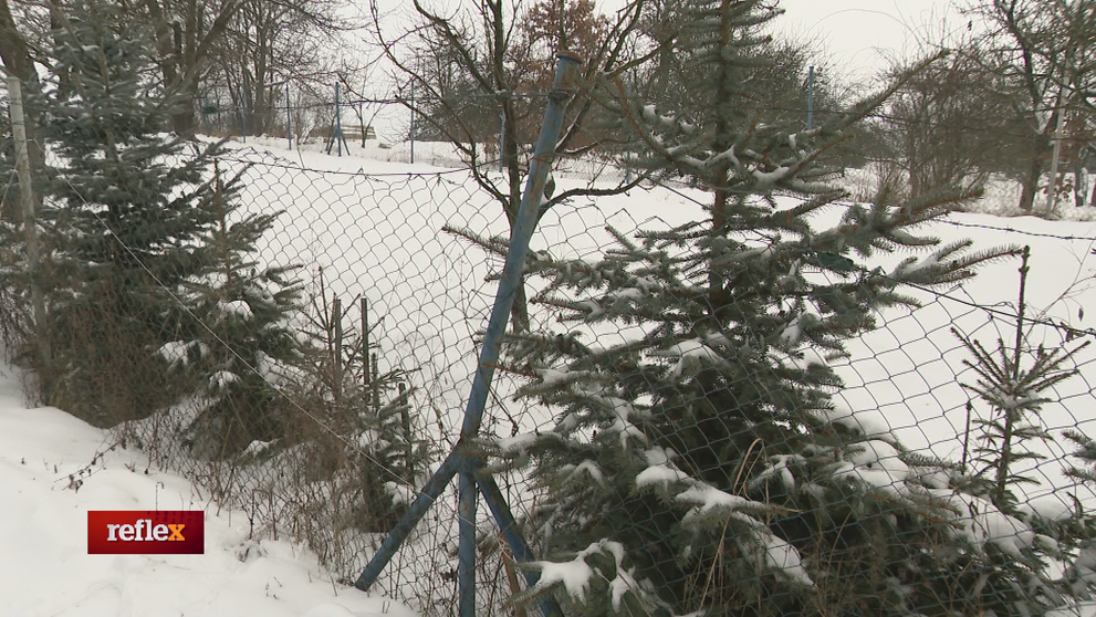 Mechanizmy mu vraj pravidelne ničia jeho majetok