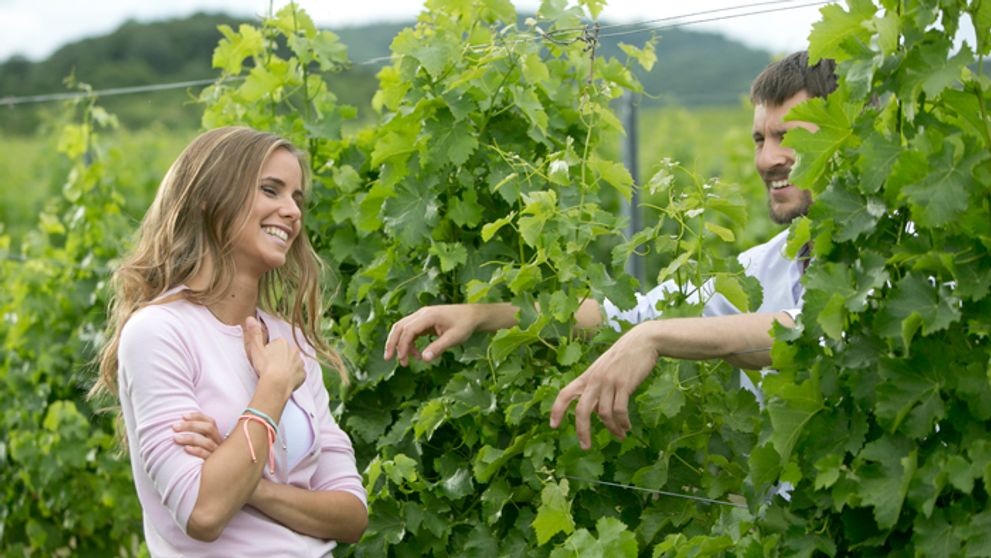 Búrlivé víno: Prvé zábery štvrtej série!
