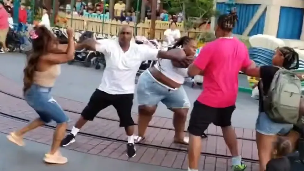 Rodinná bitka v Disneylande: Tragikomické video sa stalo hitom na sociálnych sieťach