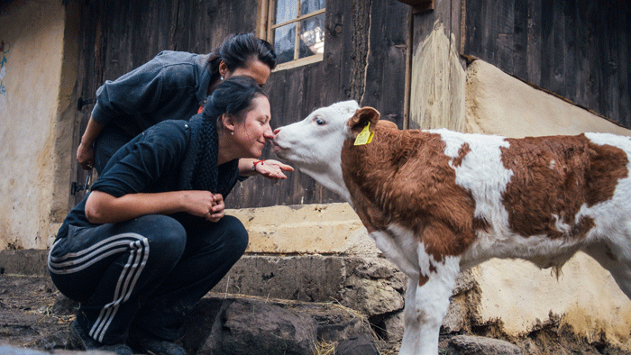 FARMA opäť ožije! Poď na ňu aj ty!