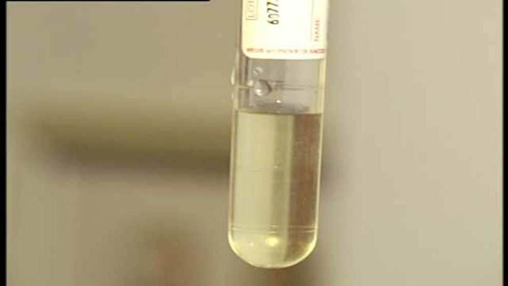 Kam je biznis s deťmi schopný zájsť?