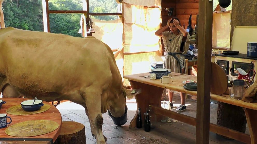 Na statku hrozí hladomor: Farmári prišli o zásoby jedla na celý týždeň!