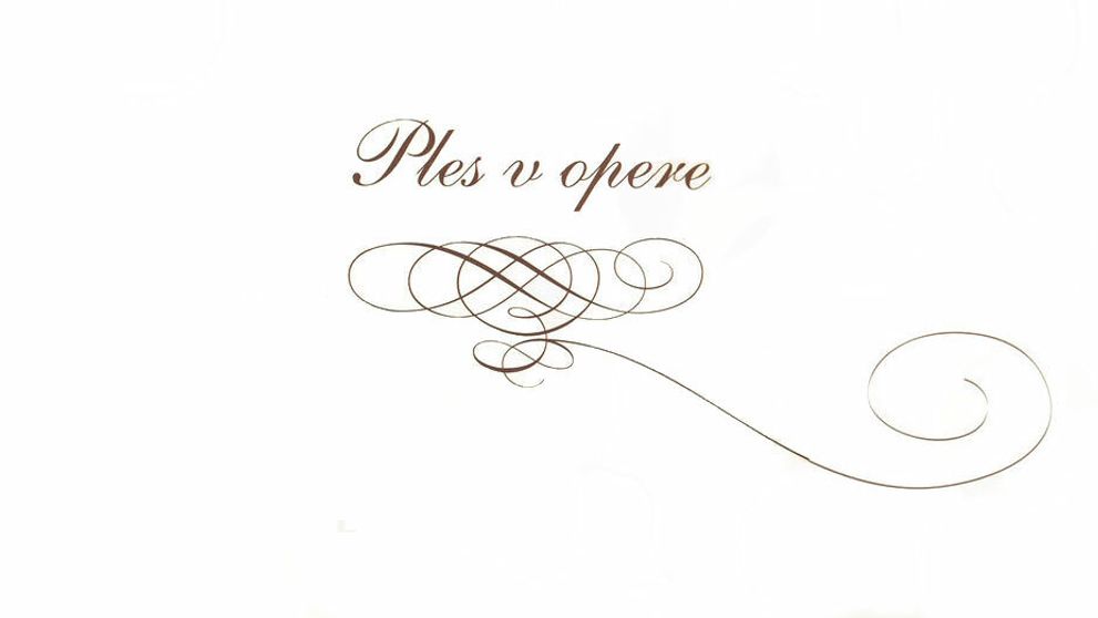 Veľkolepý Ples v opere sa blíži. Pomáhať sa bude už túto sobotu