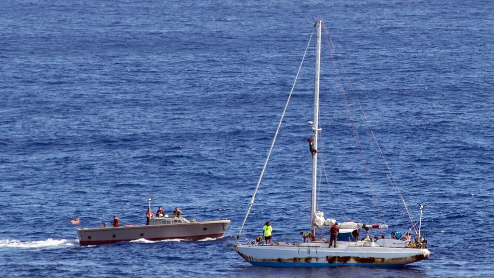 Chytili žraloka, ktorý sa prvýkrát objavil pred 80 miliónmi rokmi: Podobá sa skôr na úhora