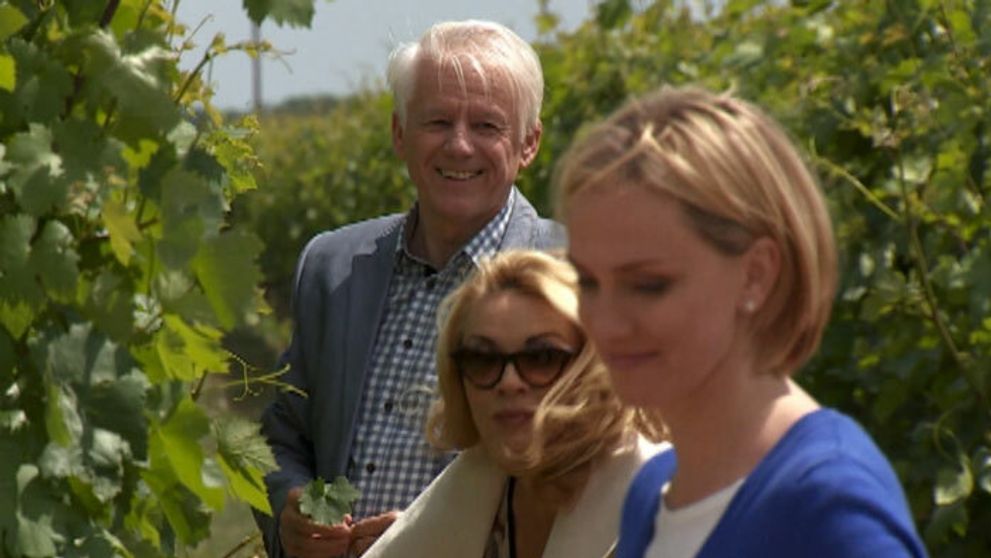 Vinárstvo v rodine Dolínskych vďaka Ivanovi opäť prekvitá