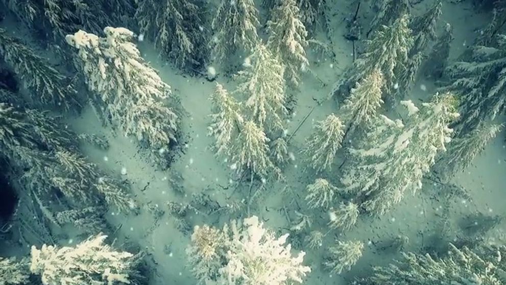 Bílá so Šmajdom, Mikušek s Dubasovou: Počúvajte vianočné duety!