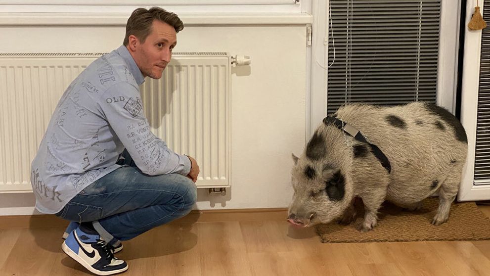 Chceli by ste aj vy takého? Sajfa sa pochválil trochu prerasteným domácim miláčikom