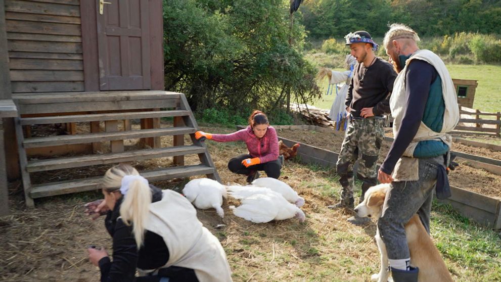 Čierny deň na Farme! Hrubá chyba mala tragické následky